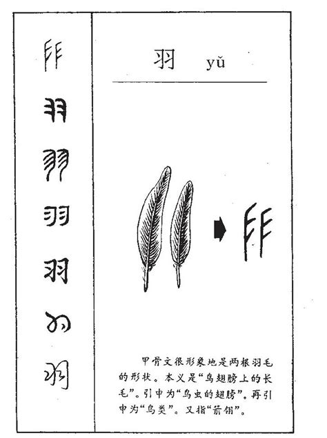 羽字邊的字|羽字旁的字